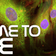 Illustration for article titled Meet the badass cancer assassin gene